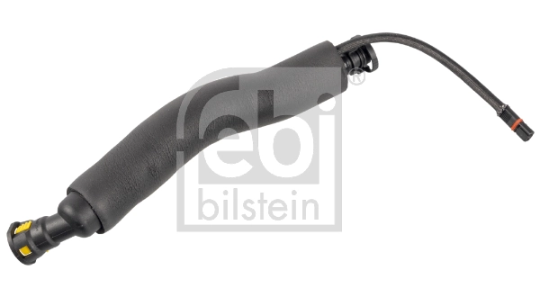 Hose, crankcase ventilation